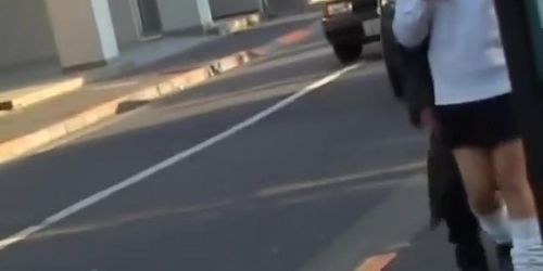 Little brown-haired oriental slapper gets publicly exposed during sharking action