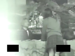 Making love outdoor sex