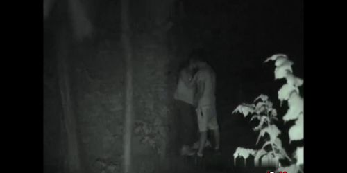 Horny Couple Ended Caught Having Sex in Park (Hiddencam___)