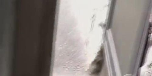 Japan sharking in the street free video